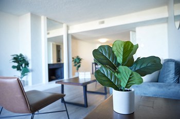 Furnished living area - Photo Gallery 5