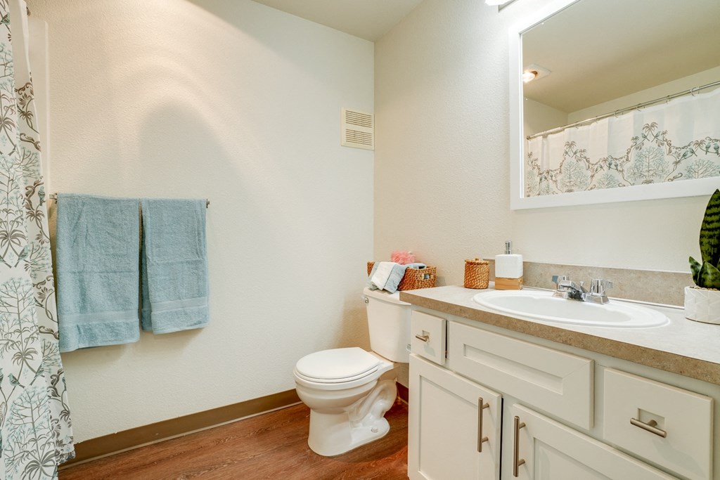 Bathroom at THE VILLAGE Apartments, KEIZER, OR