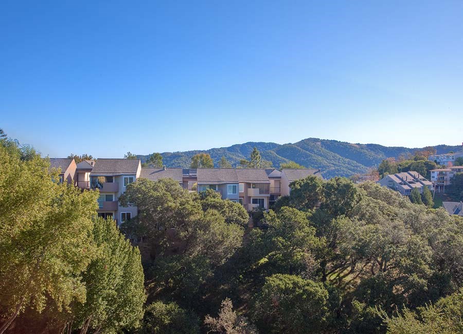 view of community on hillside 