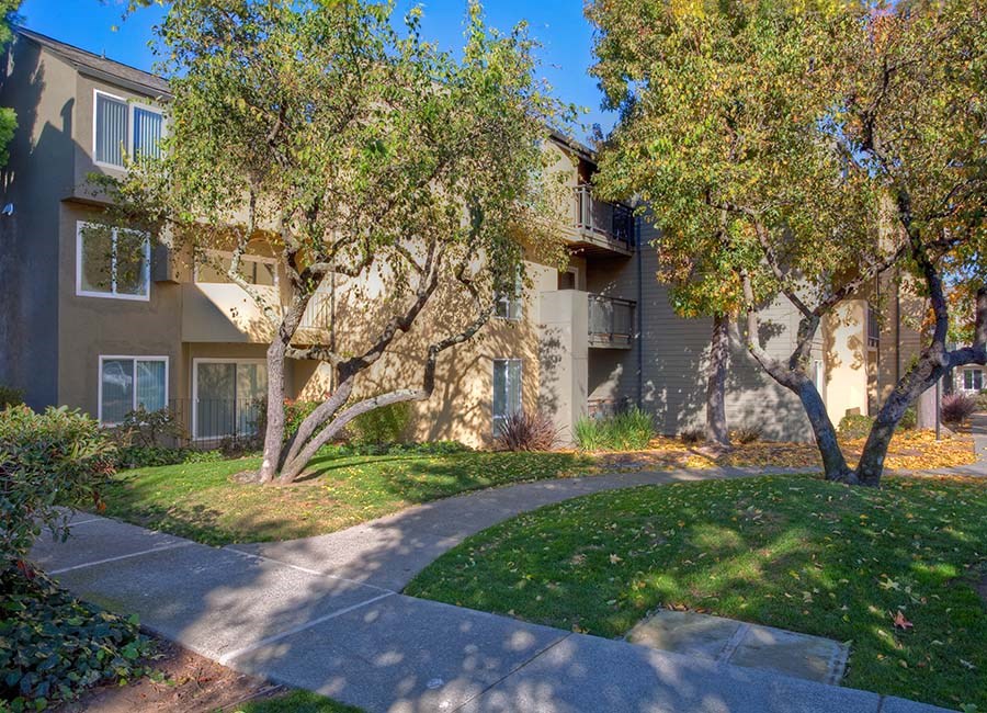 exterior building with grass