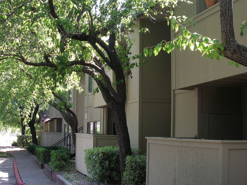 4909 Date Avenue 1-2 Beds Apartment, Market Rate for Rent - Photo Gallery 1
