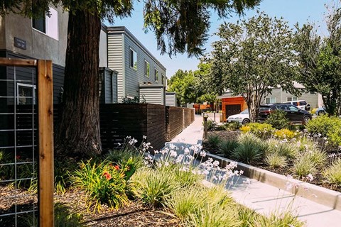 Sidewalk with landscape and near buildings
