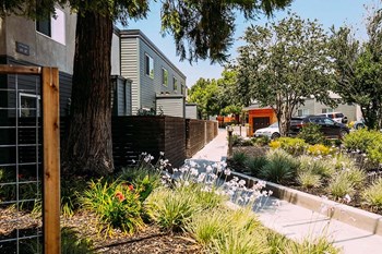 Sidewalk with landscape and near buildings - Photo Gallery 5