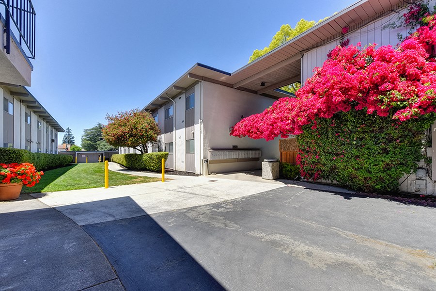 Exterior of buildings and landscape