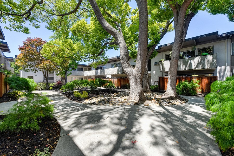 Mountain View, CA Apartments - Exterior View of Glenwood Gardens Apartments Building Surrounded By Lush Landscaping with View of Swimming Pool
