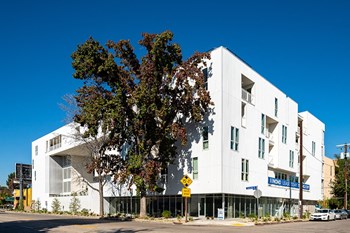 Exterior view of the building with large tree - Photo Gallery 5