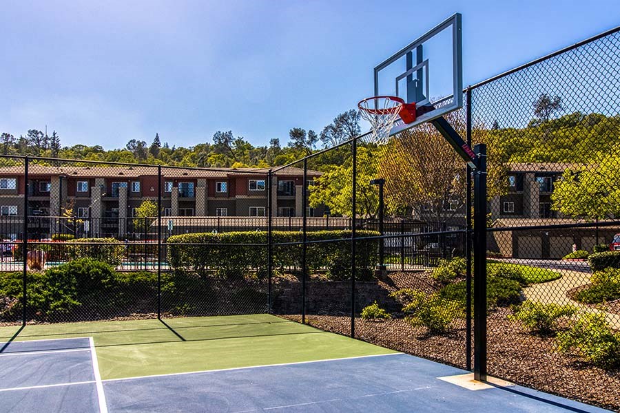 Dog-Friendly Apartments in El Dorado Hills, CA - Sterling Ranch - Basketball Court with Tall Fence, Landscaping, and View of Apartment Complex