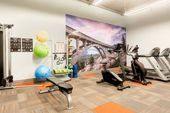Gym with fitness equipment - Photo Gallery 4
