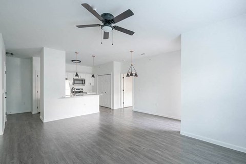 Kitchen and living room area