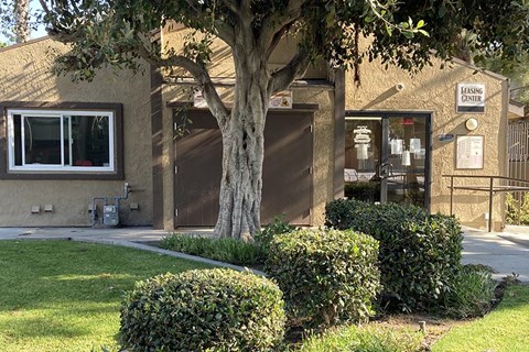 a building with a tree and bushes in front of it