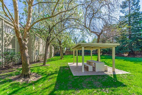 Three BR Apartments in Carmichael CA - Terra Vida - Courtyard with Picnic Table, Shade Trees, and Grass.