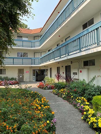 Sidewalk with landscape to buildings - Photo Gallery 3