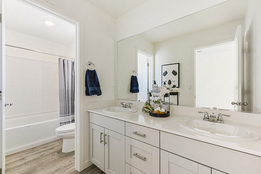 Bathroom shower and vanity