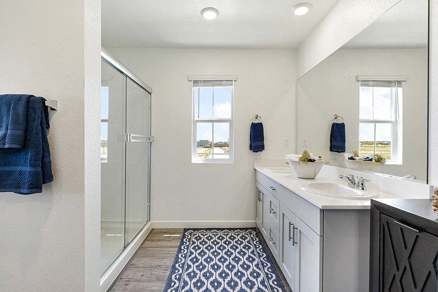 Bathroom shower and vanity
