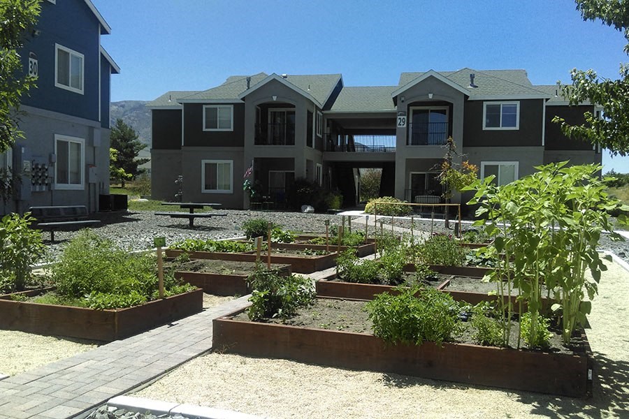 Apartments in Reno for Rent - Sky Vista Commons - Outdoor Community Garden