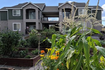 Exterior view of the building and garden - Photo Gallery 6