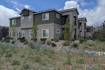 Exterior building view with landscape - Photo Gallery 3