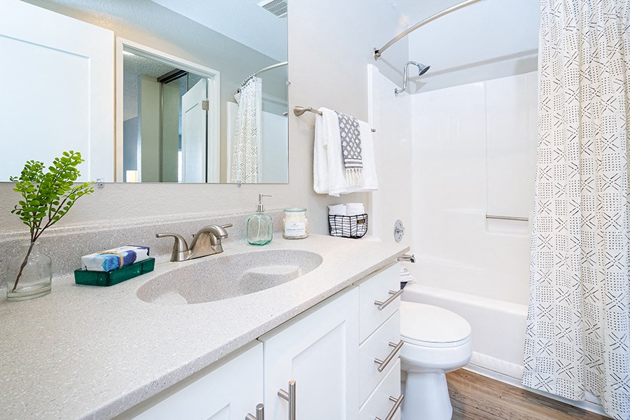 Apartments for Rent in Rohnert Park, CA- The Lenox- White Cabinets, Grey Sink, Large Window, and Wood-Style Floors