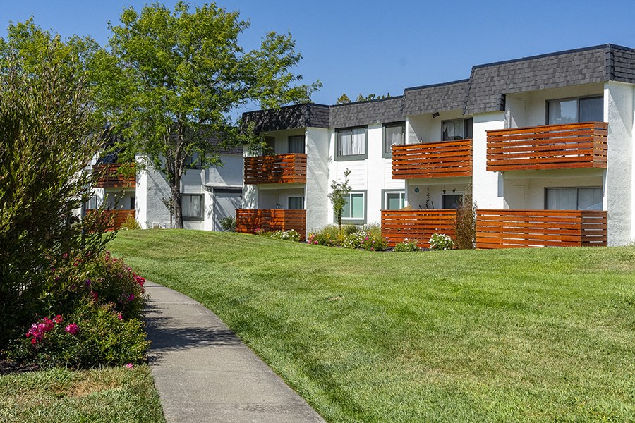 Landscaped ground with green grass near buildings