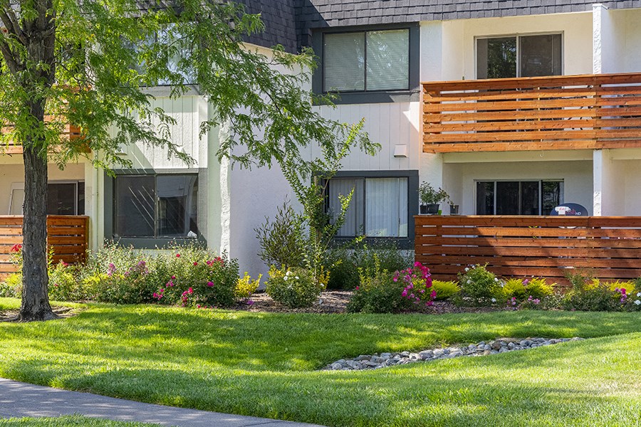 Landscaped ground with green grass near buildings