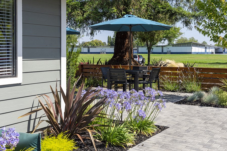 Seating near green grass 
