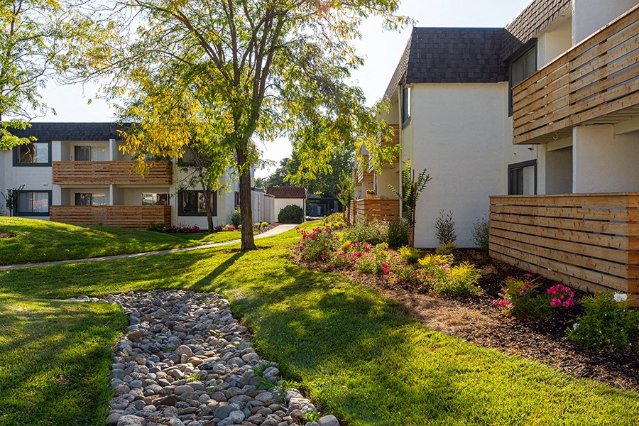 Landscaped ground with green grass near buildings