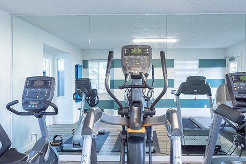Fitness center with cardio equipment 