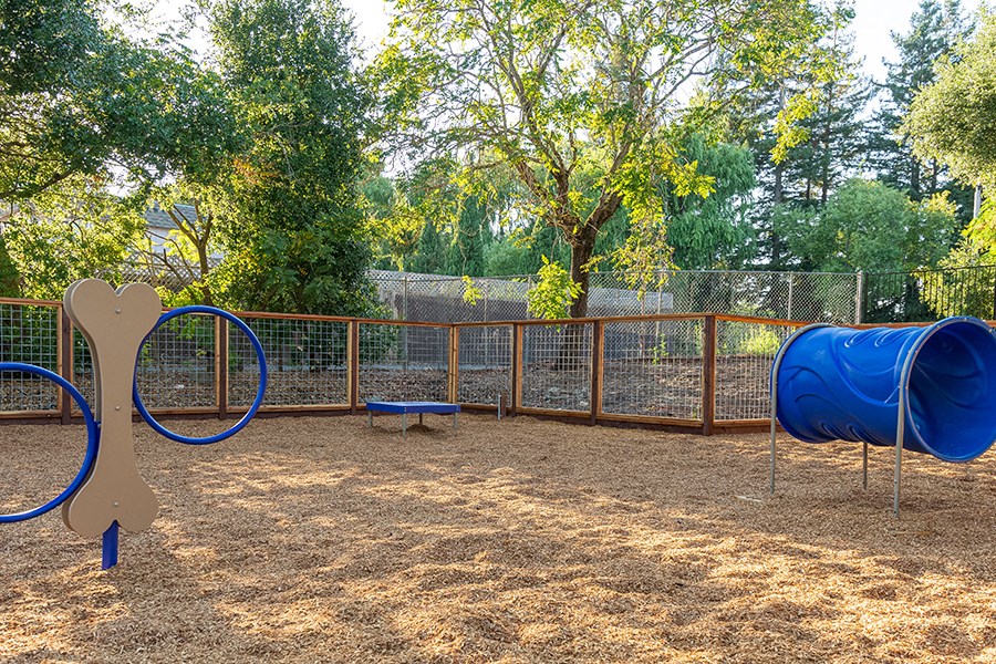 Pet play areas with toys