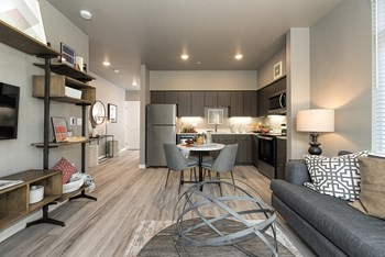 Living room and kitchen