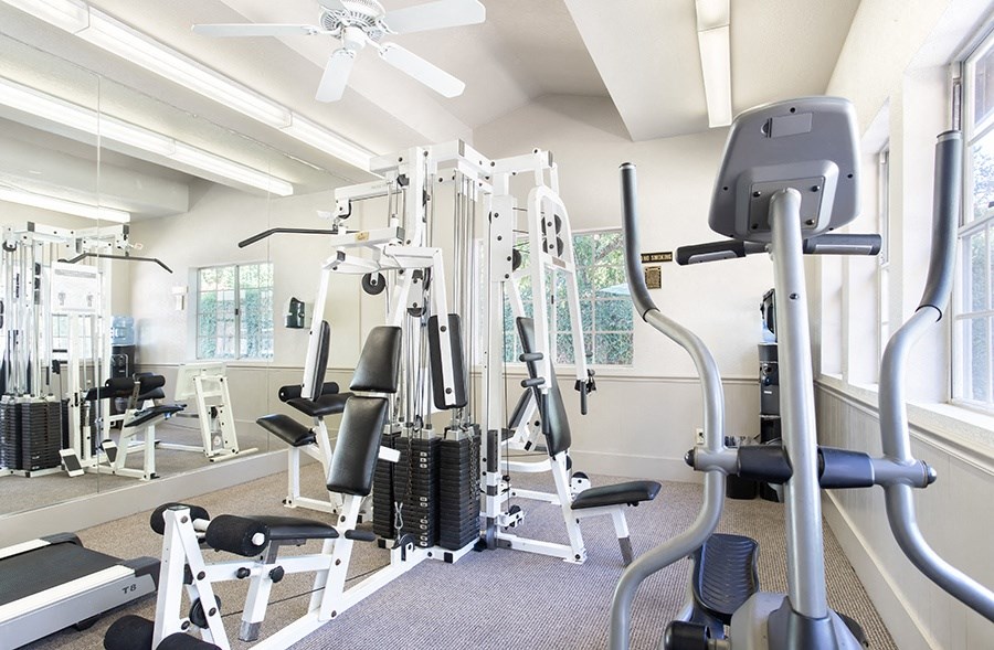 Fitness center with cardio and weight equipment