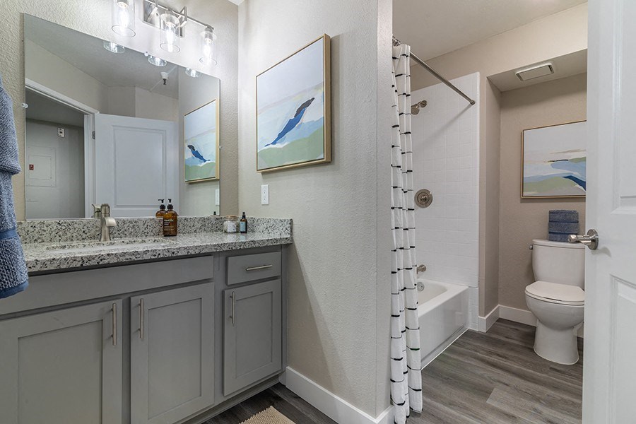 bathroom vanity with view of shower