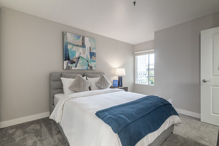 Bedroom with with window