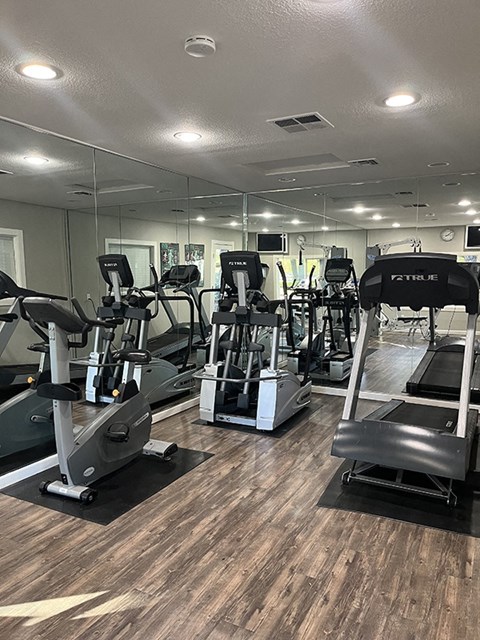 a gym with cardio machines and mirrors