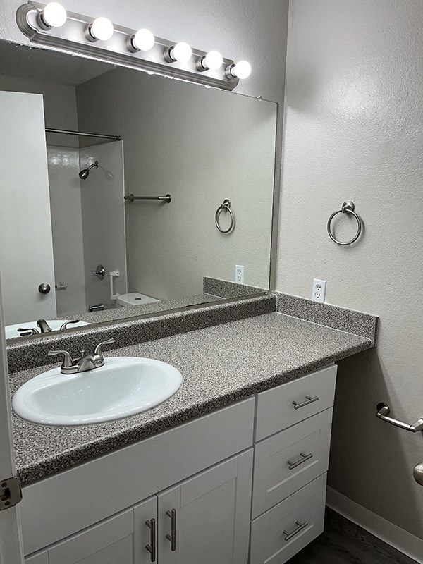 a bathroom with a sink and a mirror