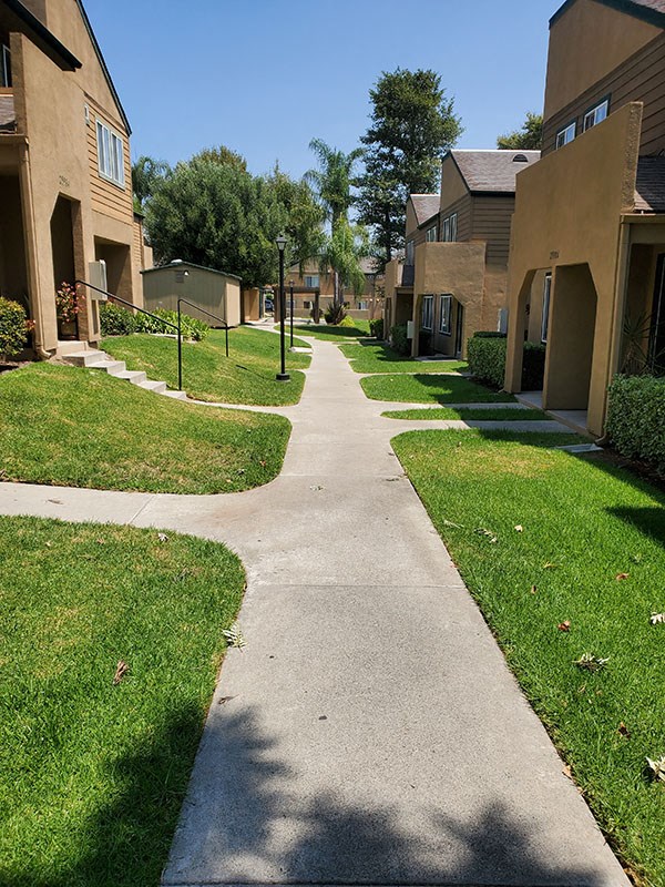 Sidewalk near buildings
