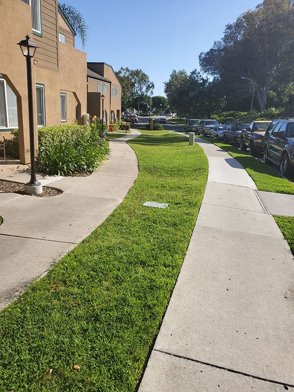 Sidewalk near buildings