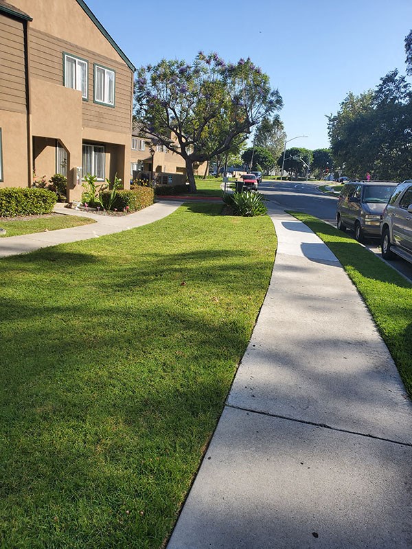 Sidewalk near buildings