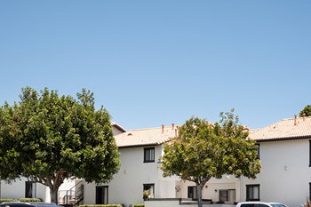 Exterior view of building and trees - Photo Gallery 5