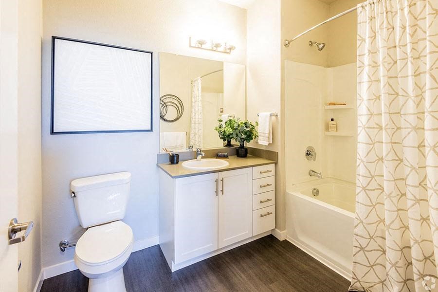 Bath shower and vanity