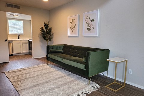 a living room with a green couch and a rug