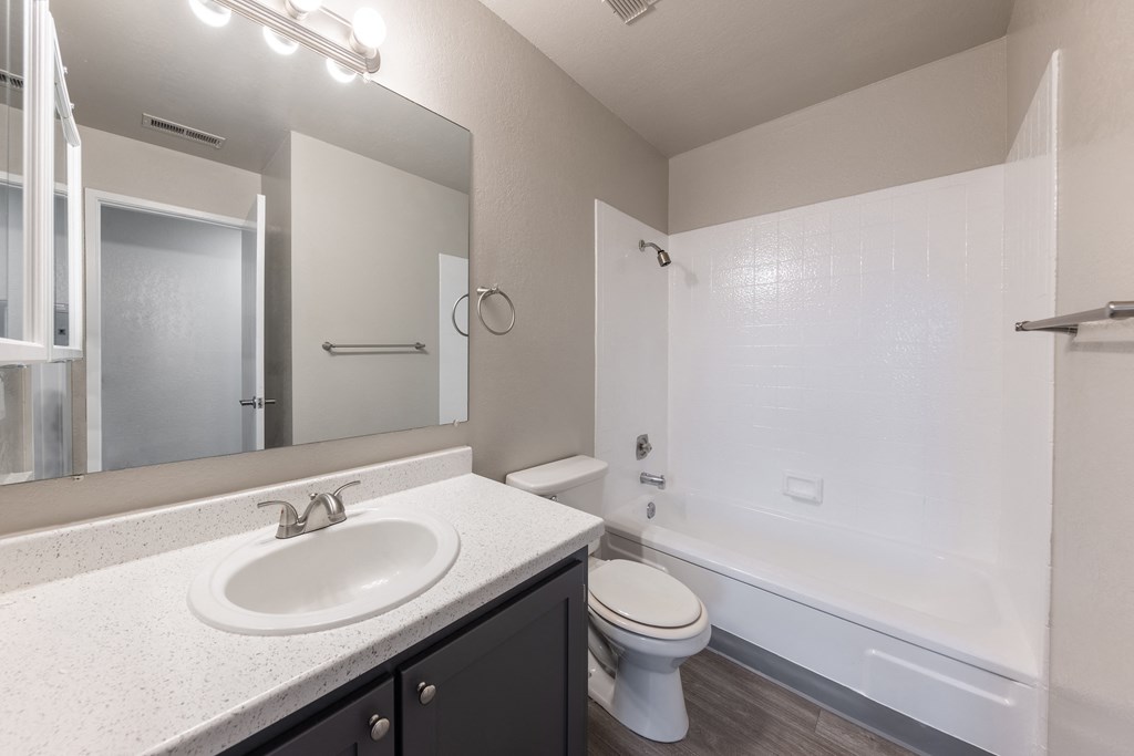 a bathroom with a sink toilet and bathtub