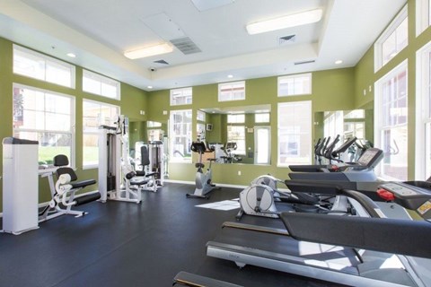 A gym with treadmills, weights, and exercise equipment.