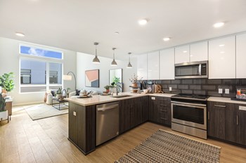 Open kitchen with appliances  near living area - Photo Gallery 25