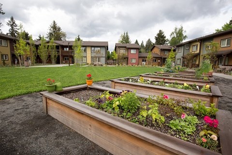 A garden with a long wooden bed in the foreground and apartment buildings in the background.