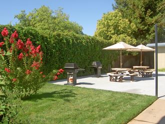 BBQ and picnic area l Cottage Bell Apartments in Sacramento CA - Photo Gallery