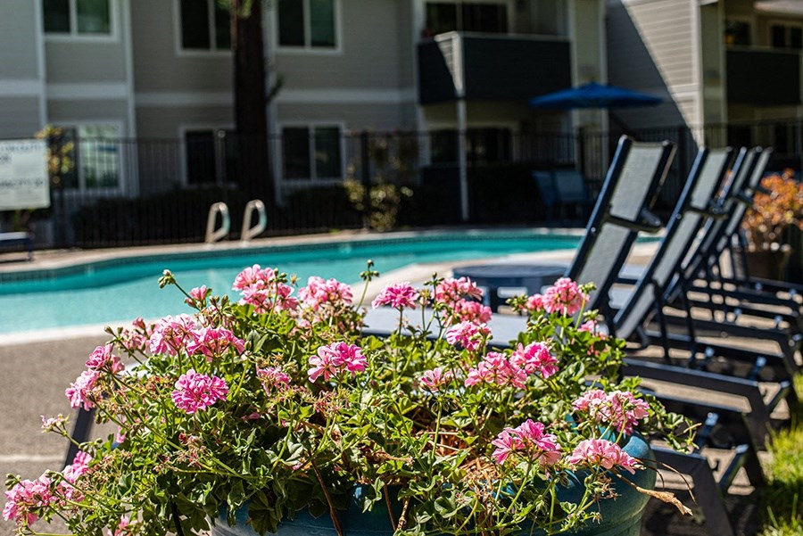 a swimming pool with chairs and flowers in front of it