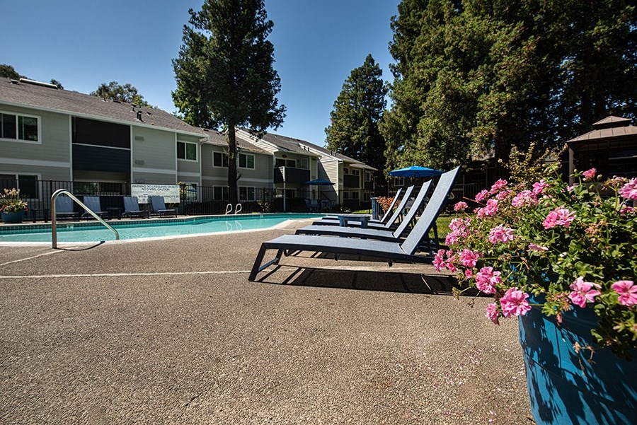 our apartments have a pool and lounge chairs
