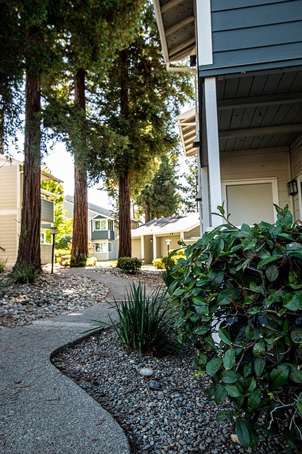a walkway between two buildings with trees and plants