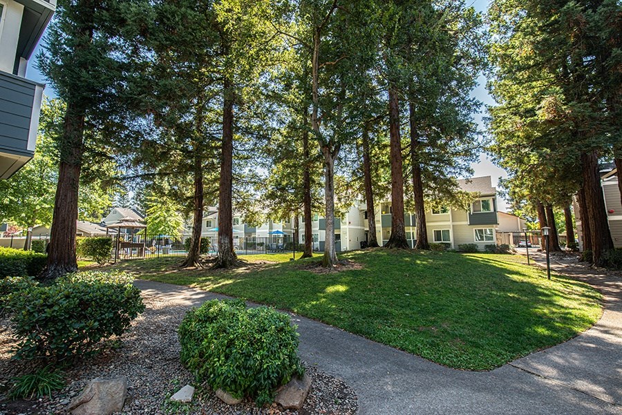 a park with trees and a sidewalk