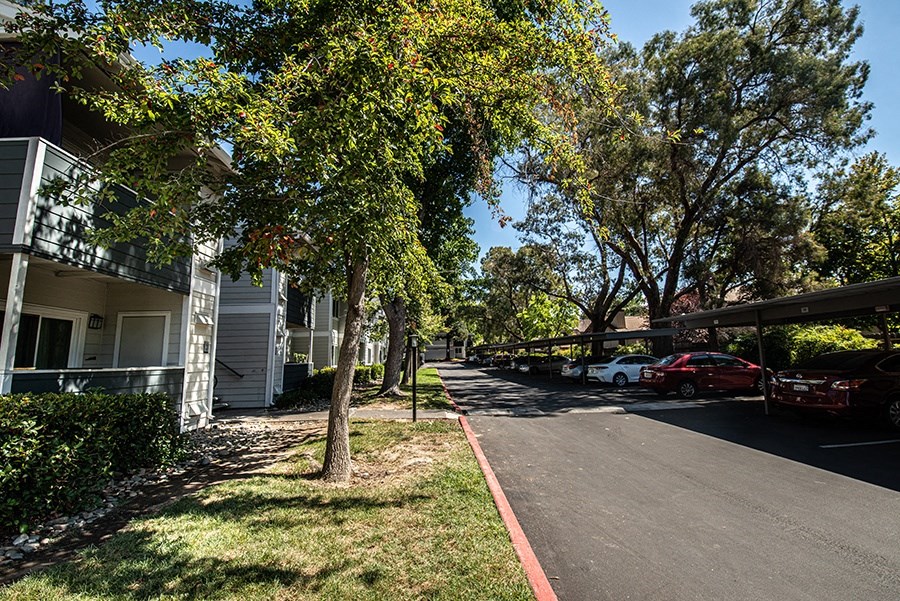 a street with houses and trees and cars parked on the side